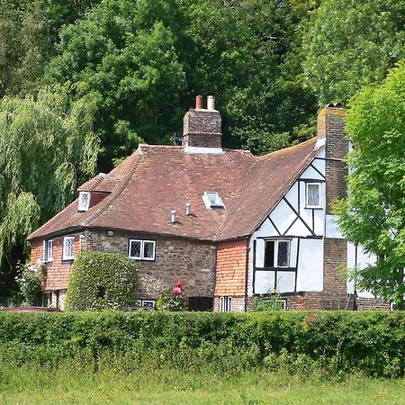 Strand House Winchelsea Bagian luar foto
